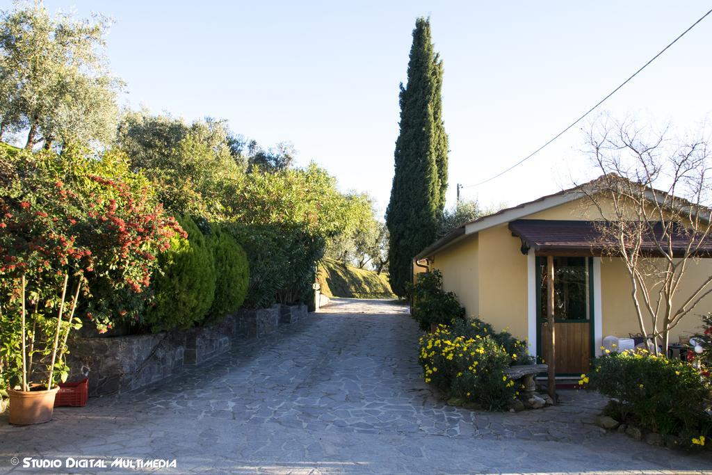 Agriturismo Campofiorito Monsummano Terme Kültér fotó